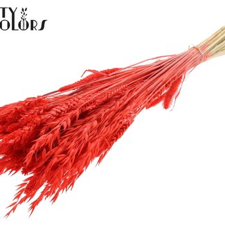 QC Boeket Gebleekte Gedroogde Bloemenmix | Kleur: Koraalkleurig | Lengte ± 60 centimeter | Per bos