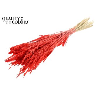 QC Boeket Gebleekte Gedroogde Bloemenmix | Kleur: Koraalkleurig | Lengte ± 60 centimeter | Per bos