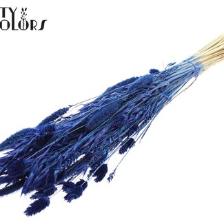 QC Bouquet Bleached Dried Flower Mix | Colour: Blue | Length ± 60 centimeter | Per bunch