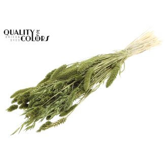 QC Boeket Gebleekte Gedroogde Bloemenmix | Kleur: Olijfgroen | Lengte ± 60 centimeter | Per bos