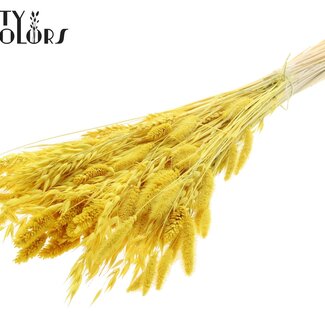 QC Strauß Gebleichte getrocknete Blumenmischung | Farbe: Gelb | Länge ± 60 centimeter | Pro Bund