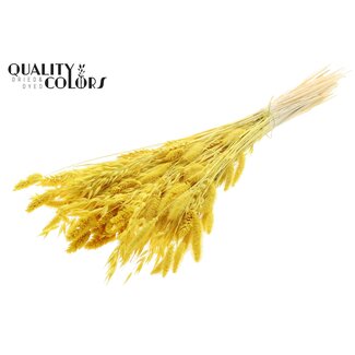 QC Bouquet Bleached Dried Flower Mix | Colour: Yellow | Length ± 60 centimetre | Per bunch