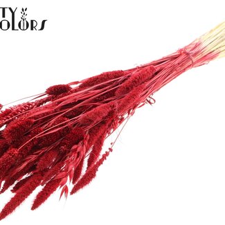 QC Boeket Gebleekte Gedroogde Bloemenmix | Kleur: Rood | Lengte ± 60 centimeter | Per bos