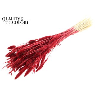 QC Bouquet Bleached Dried Flower Mix | Colour: Red | Length ± 60 centimeter | Per bunch
