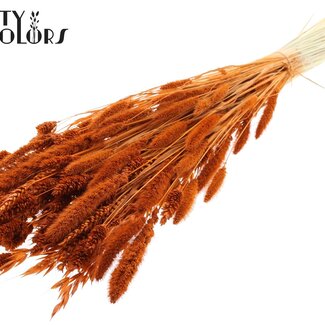 QC Bouquet Bleached Dried Flower Mix | Colour: Terracotta | Length ± 60 centimeter | Per bunch