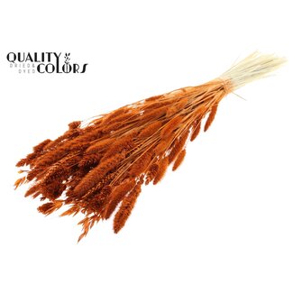 QC Bouquet Bleached Dried Flower Mix | Colour: Terracotta | Length ± 60 centimeter | Per bunch