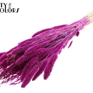 QC Boeket Gebleekte Gedroogde Bloemenmix | Kleur: Lilakleurig | Lengte ± 60 centimeter | Per bos