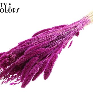 QC Strauß Gebleichte Getrocknete Blumenmix | Farbe: Lilafarbig | Länge ± 60 centimeter | Pro Bund