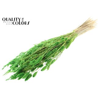 QC Bouquet Bleached Dried Flower Mix | Colour: Light green | Length ± 60 centimetre | Per bunch