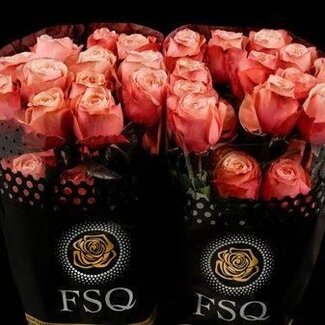 Freshy Large-flowered Rose “Kahala” | Colour: Pink | Length ± 60 centimeter | Origin Ecuador | Per 20 fresh flowers