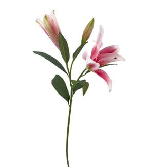 Arti Flora Lelie Kunstbloem | Kleur: Lichtroze | Lillium kunstbloemen | Lengte ± 90 centimeter | 3 bloemkoppen per steel | Per kunstbloem