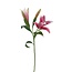 Lelie Kunstbloem | Kleur: Roze | Lillium kunstbloemen | Lengte ± 90 centimeter | 3 bloemkoppen per steel | Per kunstbloem