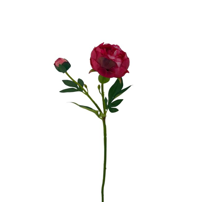 Pioenroos Kunstbloem | Kleur: Rood | Lengte ± 55 centimeter | 2 bloemkoppen per steel | Per kunstbloem