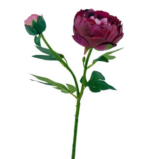 Arti Flora Pioenroos Kunstbloem | Kleur: Fuchsia | Lengte ± 55 centimeter | 2 bloemkoppen per steel | Per stuk