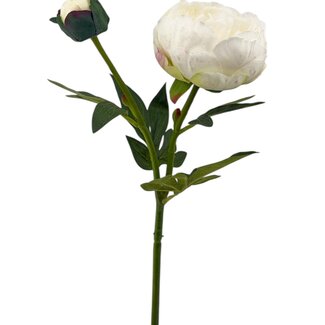 Arti Flora Pioenroos Kunstbloem | Kleur: Crèmekleurig | Lengte ± 55 centimeter | 2 bloemkoppen per steel | Per stuk