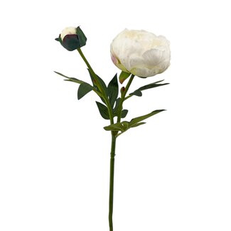 Arti Flora Peony Artificial Flower | Colour: Cream-coloured | Length ± 55 centimeter | 2 flower heads per stem | Per piece