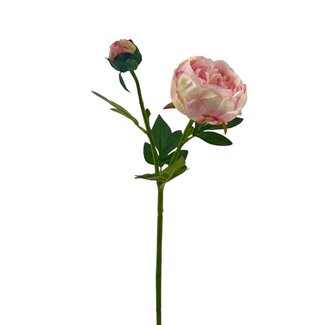 Arti Flora Peony Artificial Flower | Colour: Pink | Length ± 55 centimetre | 2 flower heads per stem | Per piece