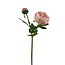 Pioenroos Kunstbloem | Kleur: Roze | Lengte ± 55 centimeter | 2 bloemkoppen per steel | Per kunstbloem