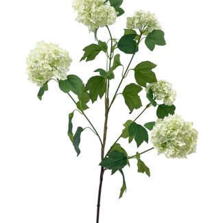 Arti Flora Sneeuwbal Kunstbloem | Kleur: Natuurlijk Wit | Viburnum Opulus kunstbloemen | Lengte ± 80 centimeter | Per stuk