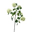 Sneeuwbal Kunstbloem | Kleur: Natuurlijk Wit | Viburnum Opulus kunstbloemen | Lengte ± 80 centimeter | Per kunstbloem