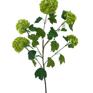 Arti Flora Sneeuwbal Kunstbloem | Kleur: Groen | Viburnum Opulus kunstbloemen | Lengte ± 80 centimeter | Per stuk