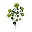 Schneeball Kunstblume | Farbe: Grün | Viburnum Opulus Kunstblumen | Länge ± 80 centimeter | Pro Stück