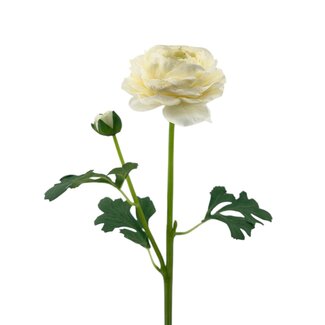 Arti Flora Renoncule Fleur artificielle | Couleur: Blanc naturel | Ranunculus fleurs artificielles | Longueur ± 45 centimeter | 2 têtes de fleurs par tige | Par pièce