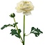 Ranonkel Kunstbloem | Kleur: Natuurlijk Wit | Ranunculus kunstbloemen | Lengte ± 45 centimeter | 2 bloemkoppen per steel | Per stuk