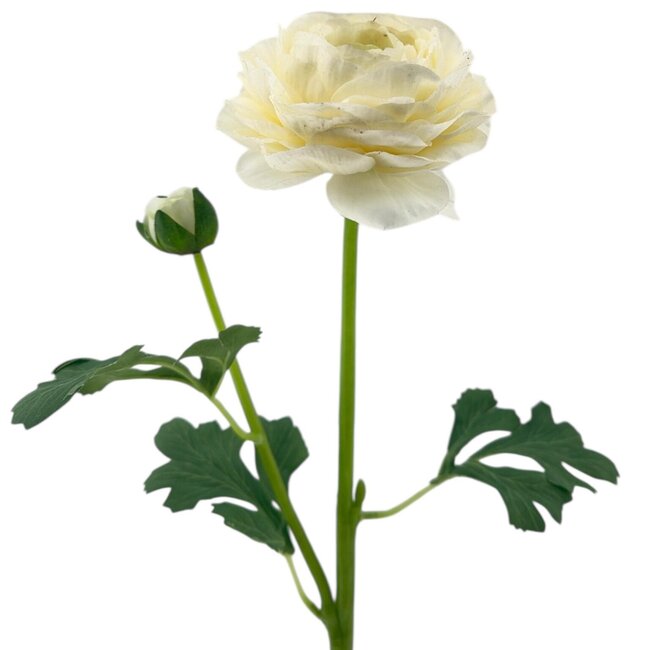 Ranonkel Kunstbloem | Kleur: Natuurlijk Wit | Ranunculus kunstbloemen | Lengte ± 45 centimeter | 2 bloemkoppen per steel | Per stuk