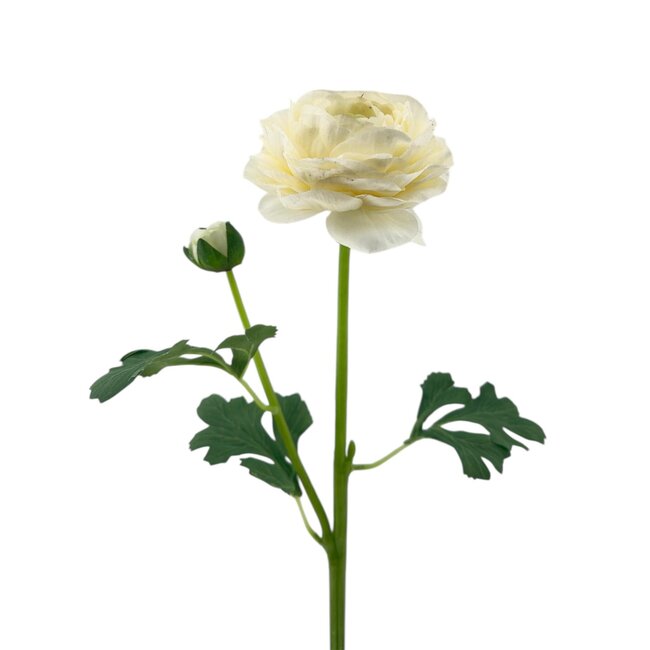 Ranunculus Artificial Flower | Colour: Natural White | Ranunculus artificial flowers | Length ± 45 centimetre | 2 flower heads per stem | Per piece