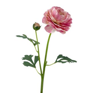Arti Flora Ranunculus Artificial Flower | Colour: Pink | Ranunculus Artificial Flowers | Length ± 45 Centimetre | 2 Flower Heads Per Stem | Per Piece
