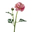 Ranonkel Kunstbloem | Kleur: Roze | Ranunculus kunstbloemen | Lengte ± 45 centimeter | 2 bloemkoppen per steel | Per kunstbloem