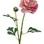 Ranunculus Artificial Flower | Colour: Pink | Ranunculus artificial flowers | Length ± 45 centimeter | 2 flower heads per stem | Per piece