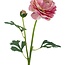 Ranonkel Kunstbloem | Kleur: Roze | Ranunculus kunstbloemen | Lengte ± 45 centimeter | 2 bloemkoppen per steel | Per stuk
