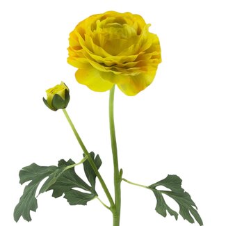 Arti Flora Ranonkel Kunstbloem | Kleur: Geel | Ranunculus kunstbloemen | Lengte ± 45 centimeter | 2 bloemkoppen per steel | Per stuk