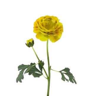 Arti Flora Ranunculus Artificial Flower | Colour: Yellow | Ranunculus artificial flowers | Length ± 45 centimetre | 2 flower heads per stem | Per piece