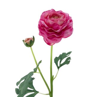 Arti Flora Ranonkel Kunstbloem | Kleur: Lichtroze | Ranunculus kunstbloemen | Lengte ± 45 centimeter | 2 bloemkoppen per steel | Per stuk