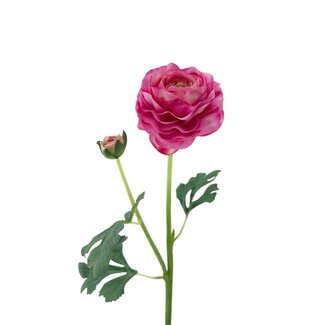 Arti Flora Ranonkel Kunstbloem | Kleur: Lichtroze | Ranunculus kunstbloemen | Lengte ± 45 centimeter | 2 bloemkoppen per steel | Per kunstbloem