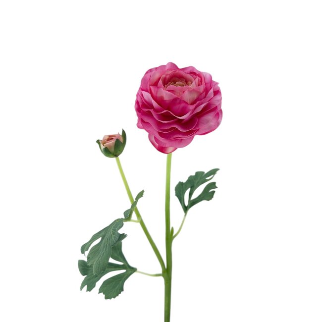 Ranonkel Kunstbloem | Kleur: Lichtroze | Ranunculus kunstbloemen | Lengte ± 45 centimeter | 2 bloemkoppen per steel | Per kunstbloem