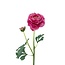 Ranonkel Kunstbloem | Kleur: Lichtroze | Ranunculus kunstbloemen | Lengte ± 45 centimeter | 2 bloemkoppen per steel | Per kunstbloem