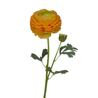 Arti Flora Ranonkel Kunstbloem | Kleur: Geeloranje | Ranunculus kunstbloemen | Lengte ± 45 centimeter | 2 bloemkoppen per steel | Per kunstbloem
