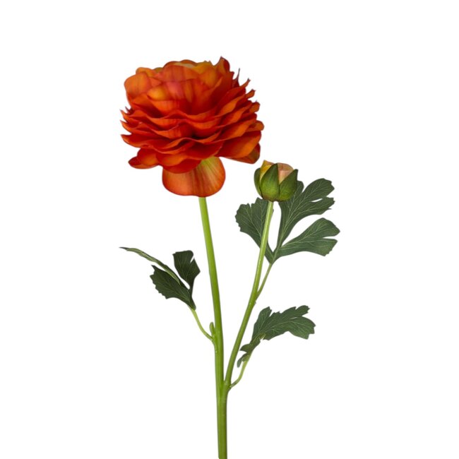 Ranonkel Kunstbloem | Kleur: Oranje | Ranunculus kunstbloemen | Lengte ± 45 centimeter | 2 bloemkoppen per steel | Per kunstbloem