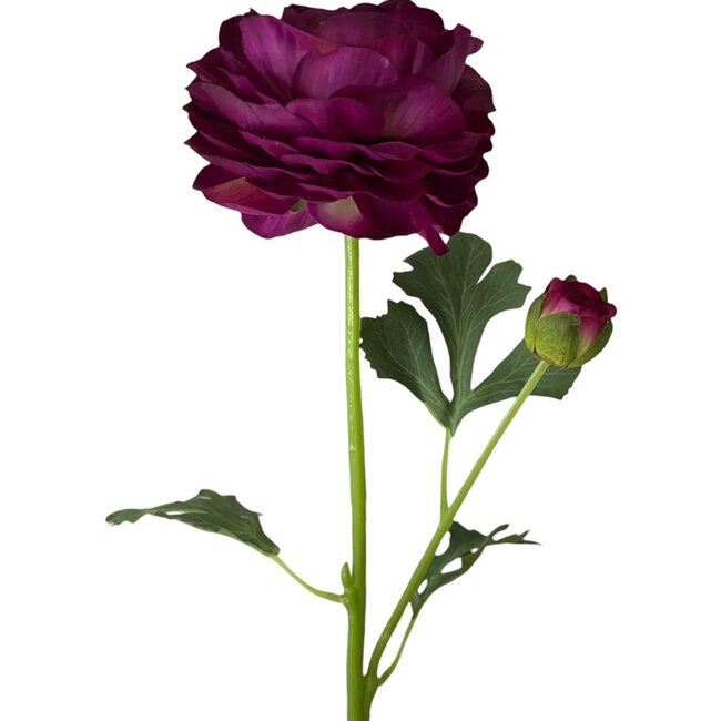 Ranonkel Kunstbloem | Kleur: Fuchsia | Ranunculus kunstbloemen | Lengte ± 45 centimeter | 2 bloemkoppen per steel | Per stuk