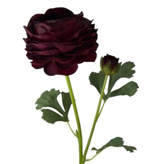 Arti Flora Ranonkel Kunstbloem | Kleur: Bordeauxrood | Ranunculus kunstbloemen | Lengte ± 45 centimeter | 2 bloemkoppen per steel | Per stuk