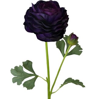 Arti Flora Ranonkel Kunstbloem | Kleur: Paars | Ranunculus kunstbloemen | Lengte ± 45 centimeter | 2 bloemkoppen per steel | Per stuk