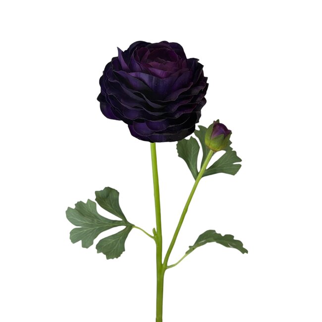 Ranonkel Kunstbloem | Kleur: Paars | Ranunculus kunstbloemen | Lengte ± 45 centimeter | 2 bloemkoppen per steel | Per kunstbloem