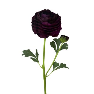 Arti Flora Ranonkel Kunstbloem | Kleur: Donkerpaars | Ranunculus kunstbloemen | Lengte ± 45 centimeter | 2 bloemkoppen per steel | Per kunstbloem