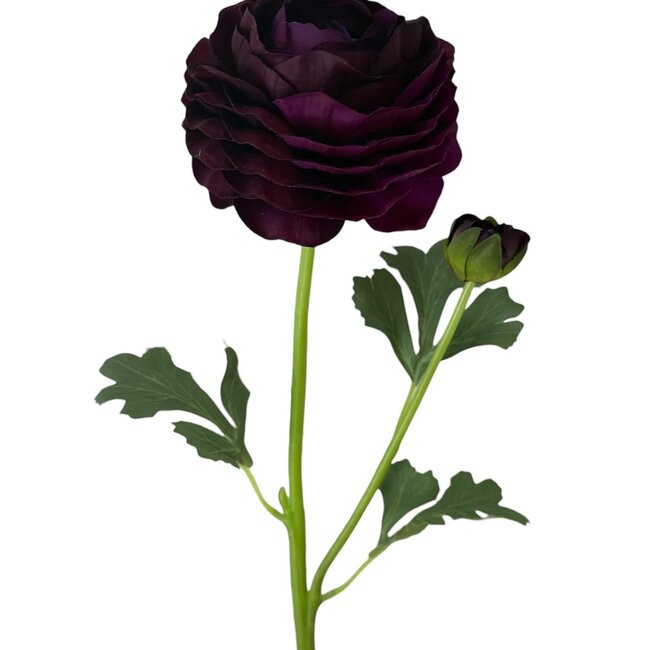 Ranonkel Kunstbloem | Kleur: Donkerpaars | Ranunculus kunstbloemen | Lengte ± 45 centimeter | 2 bloemkoppen per steel | Per stuk
