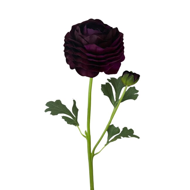 Ranonkel Kunstbloem | Kleur: Donkerpaars | Ranunculus kunstbloemen | Lengte ± 45 centimeter | 2 bloemkoppen per steel | Per kunstbloem
