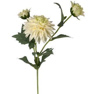 Arti Flora Dahlia Kunstbloem | Kleur: Natuurlijk Wit | Lengte ± 60 centimeter | 3 bloemkoppen per steel | Per stuk